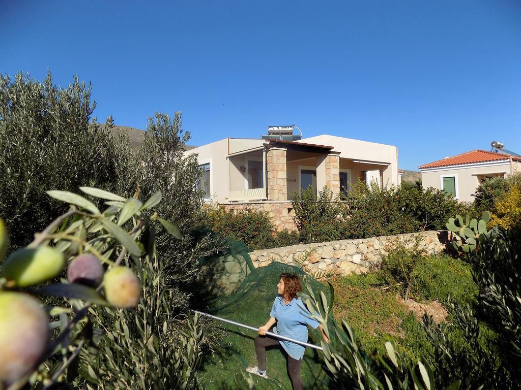 Alkionides Villas Xerokampos  Exterior foto